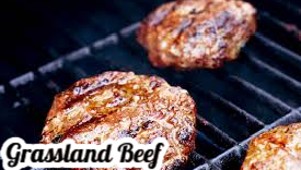 Grassland Beef